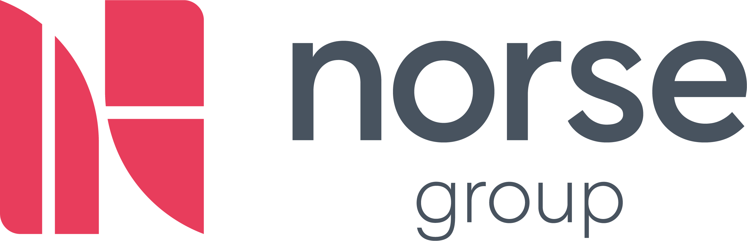 Norse Group LTD logo