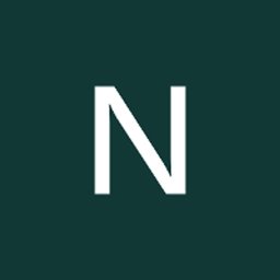Netcompany logo