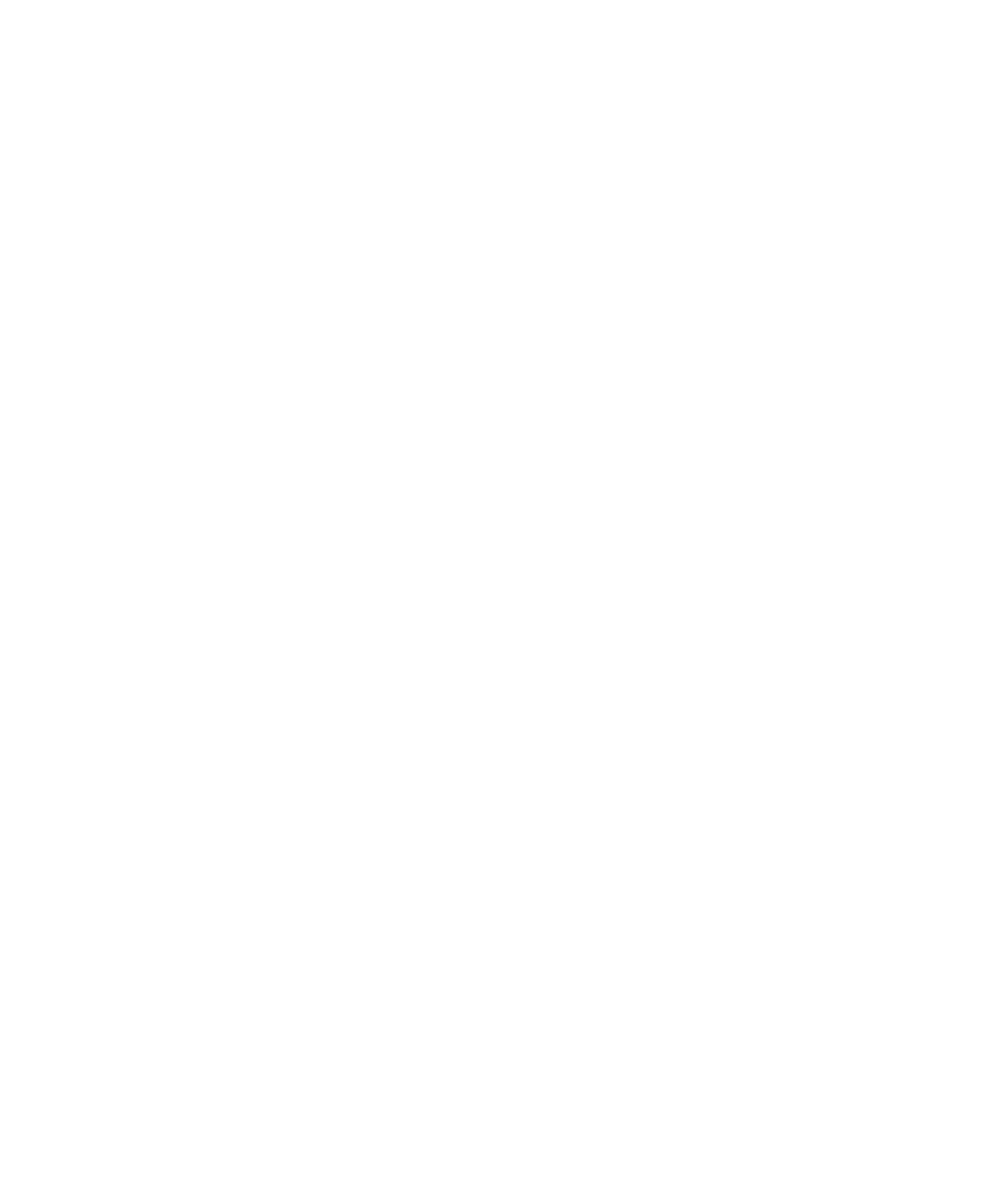Neuberger Berman logo