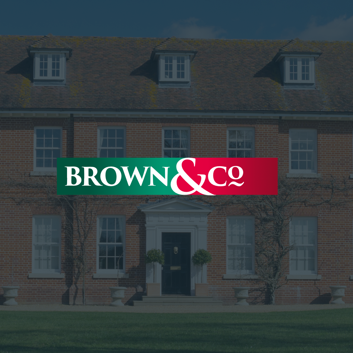 Brown&Co logo